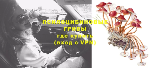 ешки Богородск