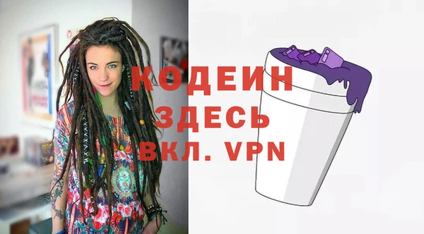 молекула духа Богданович