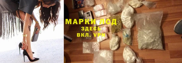 молекула духа Богданович
