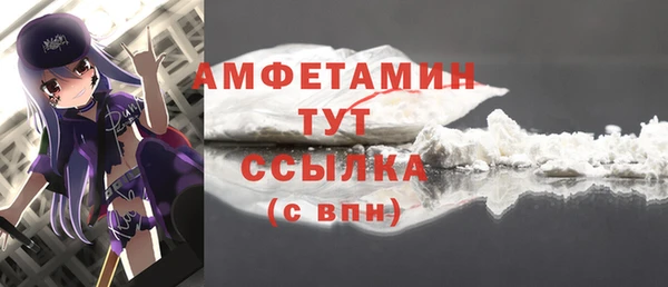 молекула духа Богданович