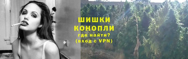 молекула духа Богданович