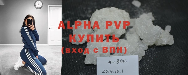 молекула духа Богданович