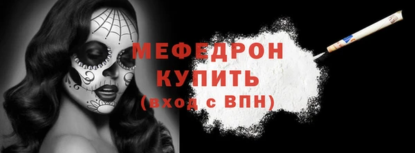молекула духа Богданович