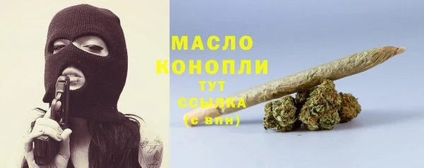 молекула духа Богданович