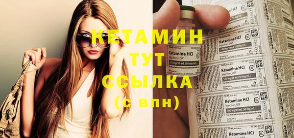 молекула духа Богданович