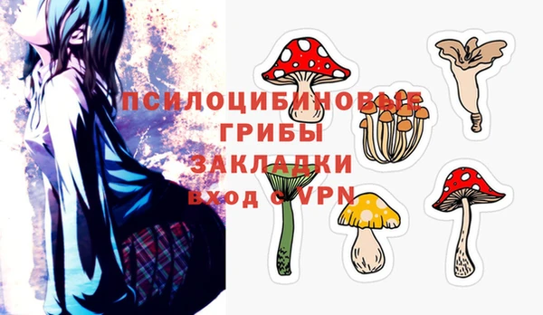 гашиш Богородицк