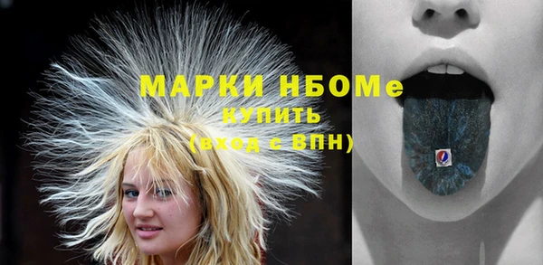 молекула духа Богданович