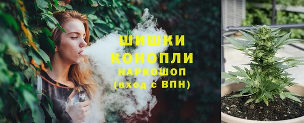 молекула духа Богданович