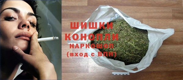 молекула духа Богданович