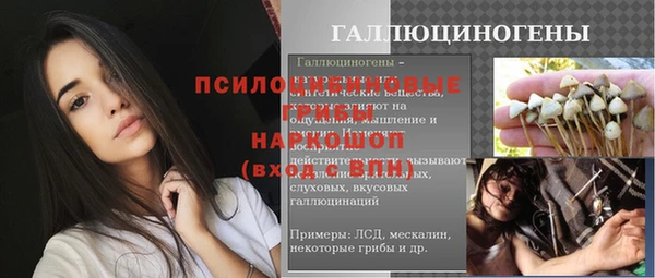 ешки Богородск